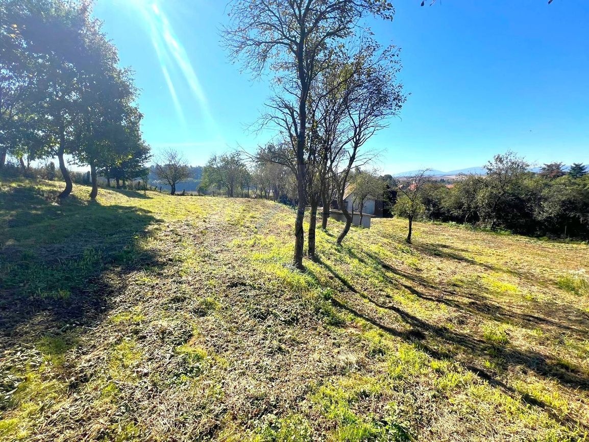 PREDAJ DOM s lesom 7714 m2 Bánovce nad Bebr. - 9