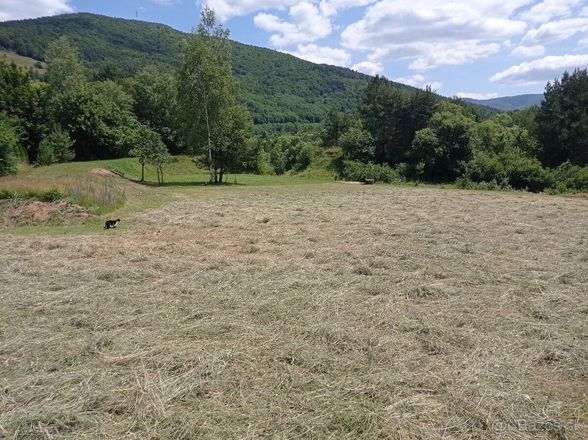 Seno pre drobné cicavce balené 1 KG - 9