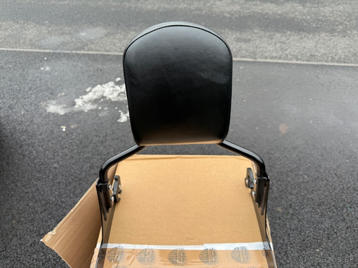 HARLEY DAVIDSON® BREAKOUT FXSB Sissybar - 9