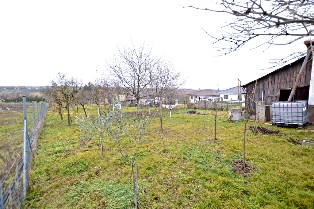 NA PREDAJ 3I DOM V KOLTE S OVOCNOU ZÁHRADOU - 9