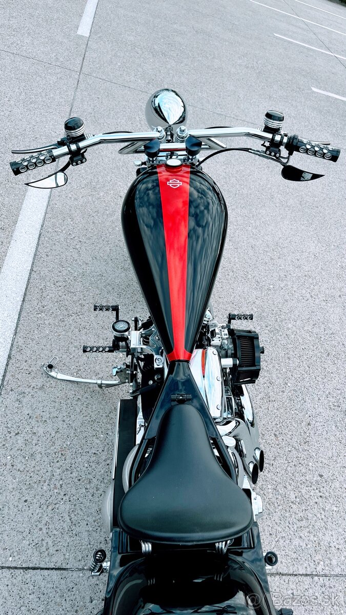 Harley Davidson Custom 300 - 9