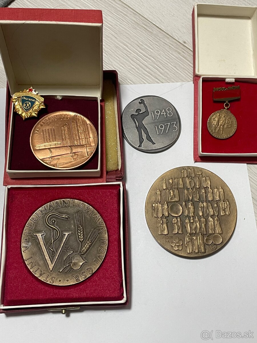 Plakety/medaile (9) - 9