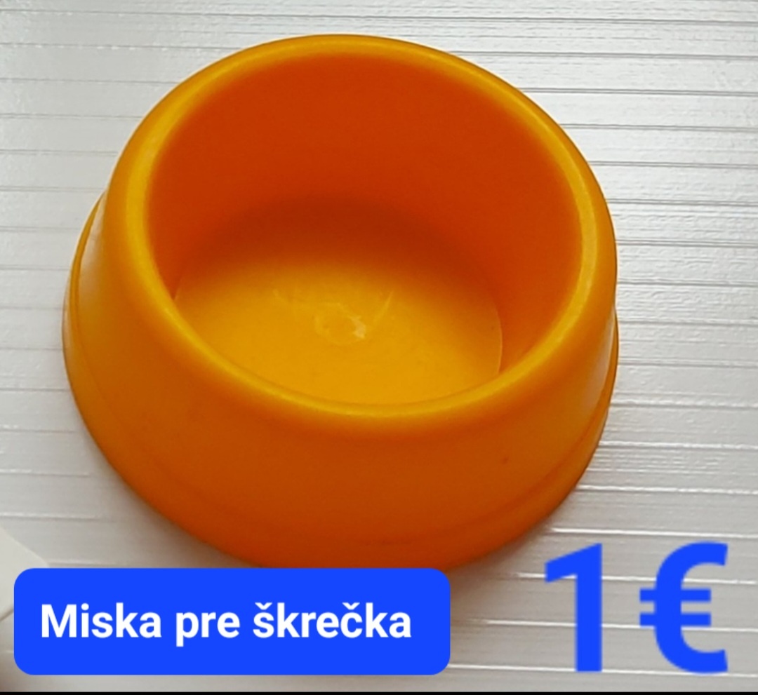 Papagaj, pes,mačka,škrečok - 9