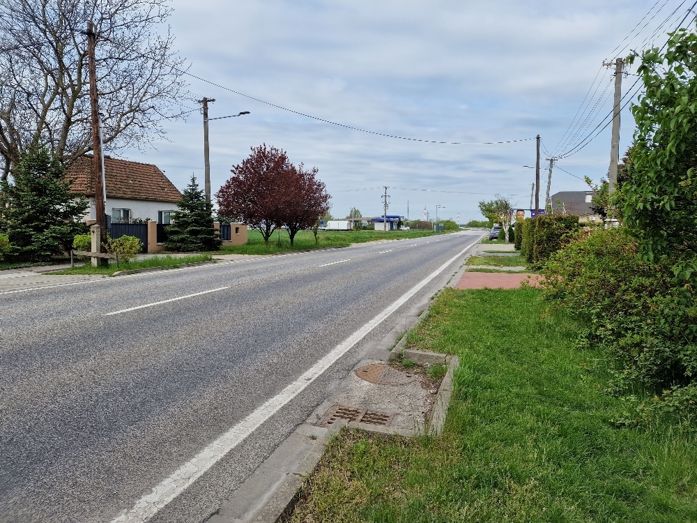 Pozemok o výmere 4543 m2 so starším RD na predaj - 9