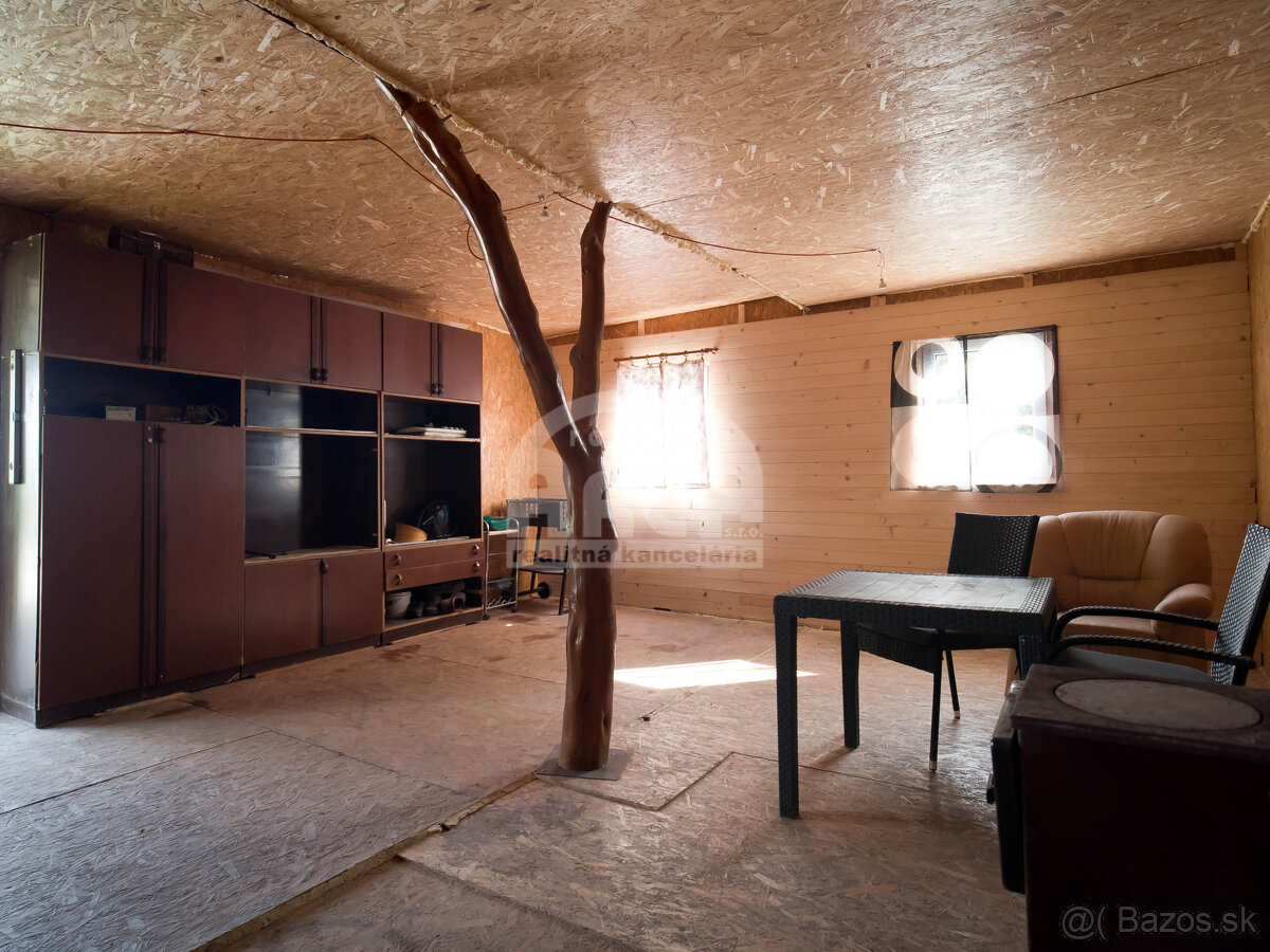 Pozemok v záhradkárskej oblasti Sečovce, časť Vinice - 9