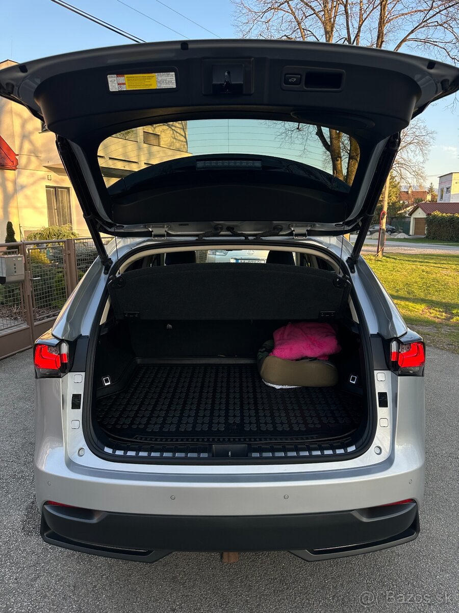 Lexus NX 300h hybrid 4x4 - 9