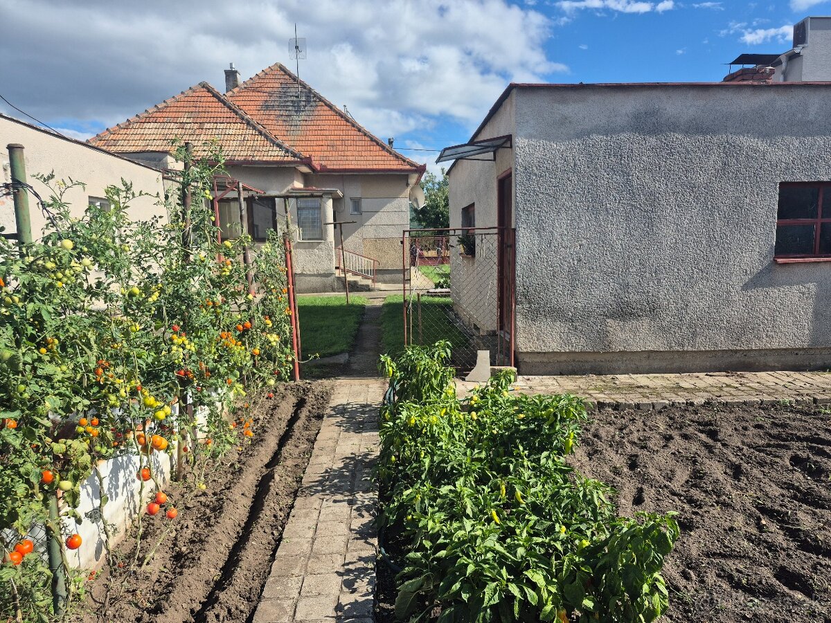 RD v obci Jelšovce - 9