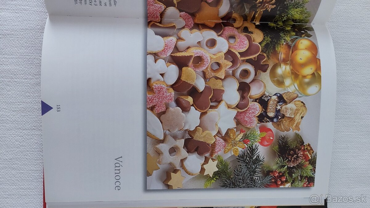 Rodinná encyklopedie pečení, Nové recepty v české kuchyni - 9