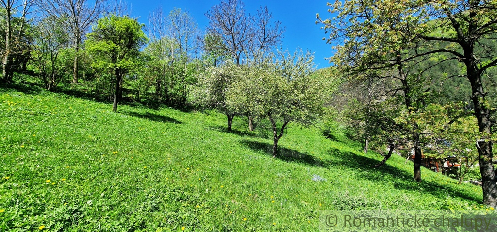 Ovocný sad s možnosťou výstavby s jedinečným výhľadom na - 9