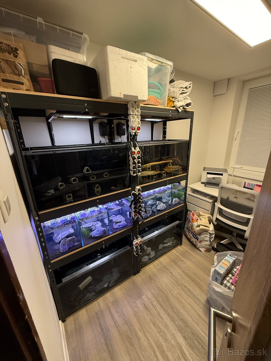 Regály s akváriami, technikou a rybičkami - 9