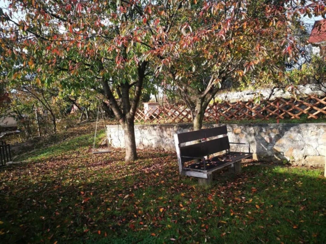 Záhrada s chatou - 9