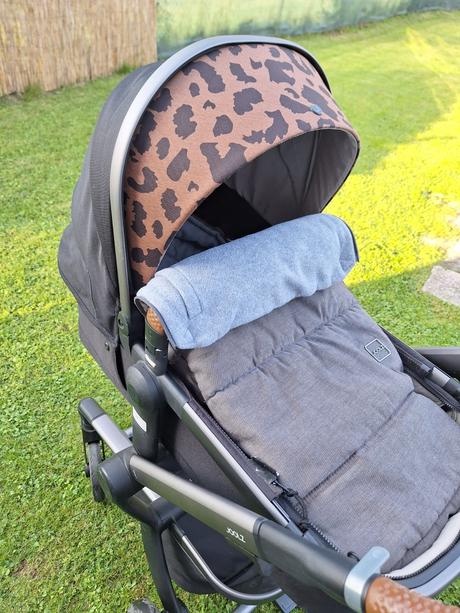 Kočik Joolz Day + Tailor - 9