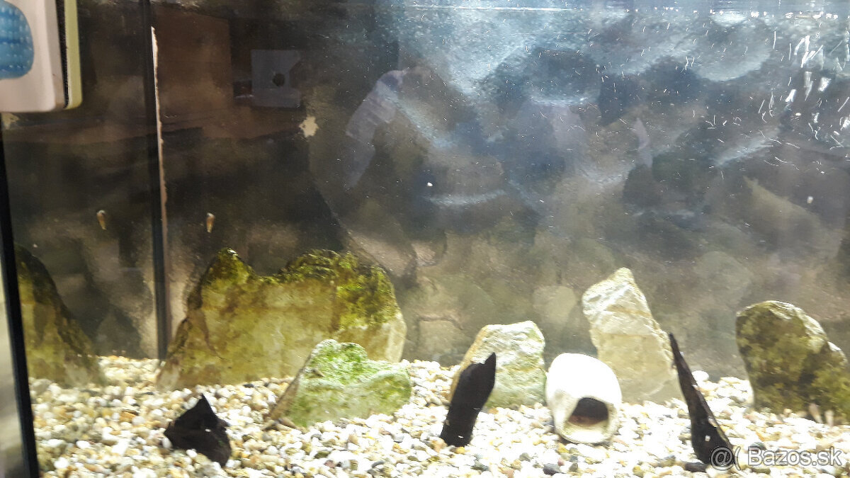 predám akvárium - 9