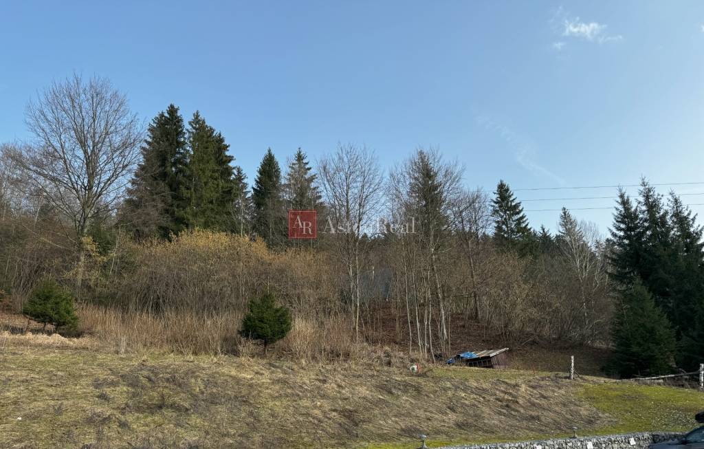 Na predaj rekreačné pozemky v časti BEŇOVA LEHOTA, Dolný Kub - 9