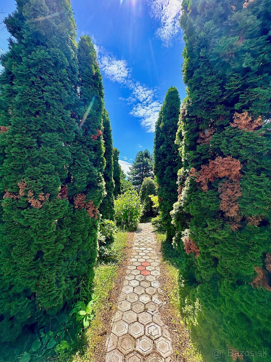 7-izb. Rodinný dom s bazénom na pozemku 5.100 m2 - 9