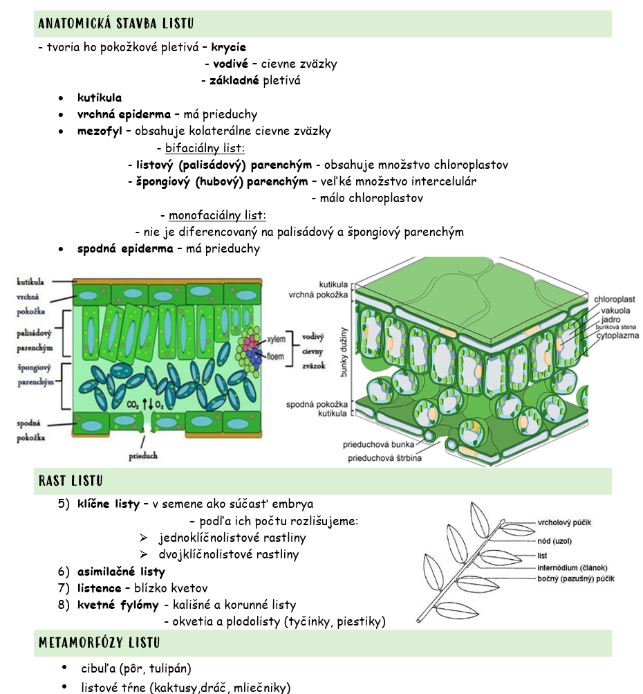 NAJKOMPLETNEJŠIE podklady prijímačky medicína BA, Martin - 9