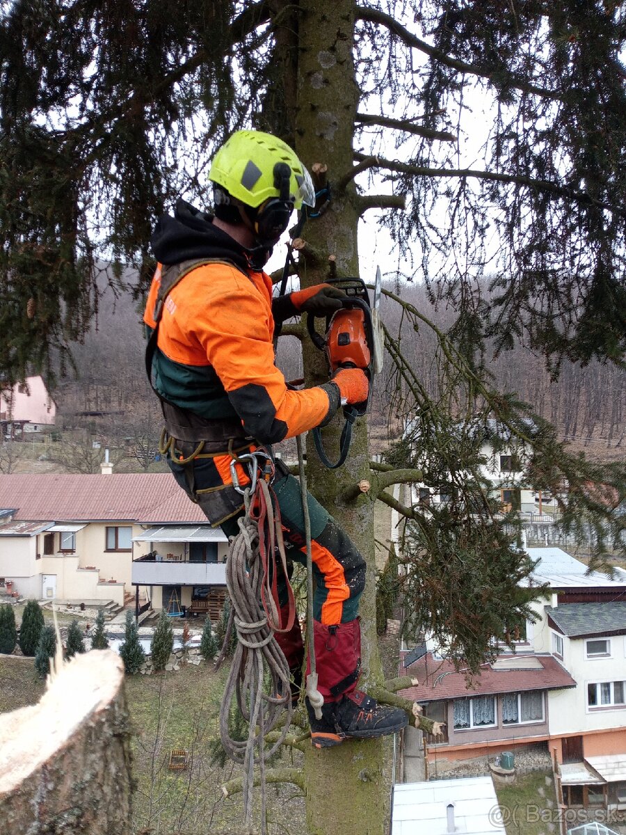 Výškové práce zrezavanie stromov - 9