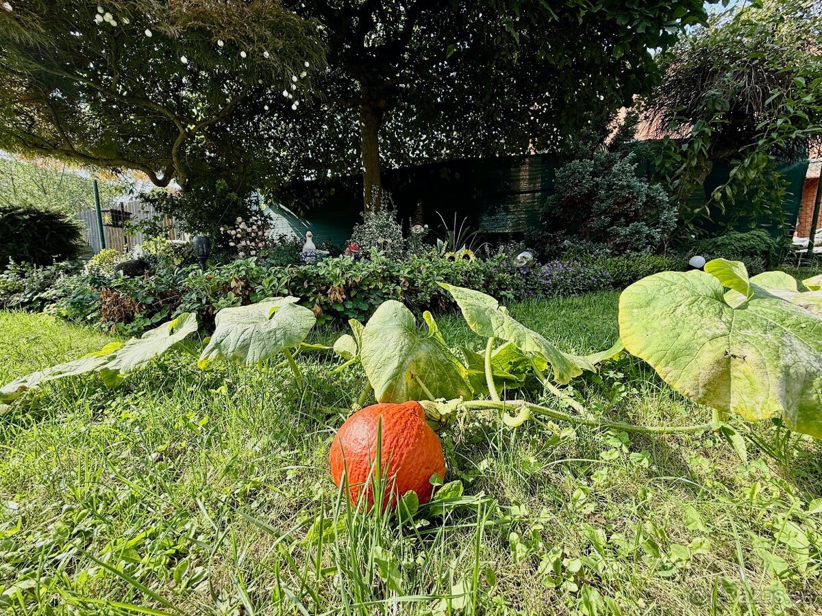 6 izbový rodinný dom | 306 m2 pozemok | Širšie centrum MI | - 9