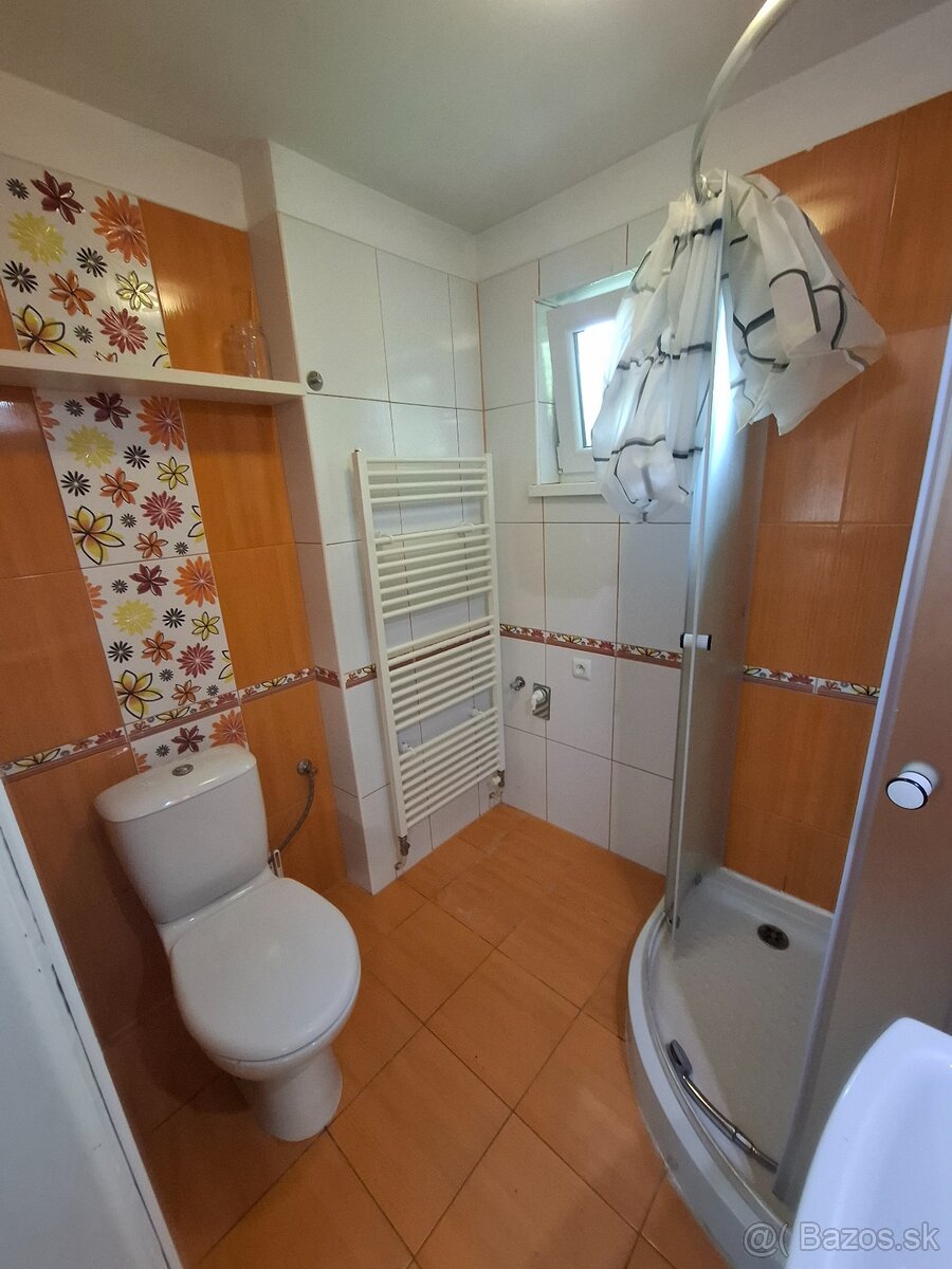 Prenajmem byt v RD LUŽIANKY - 9