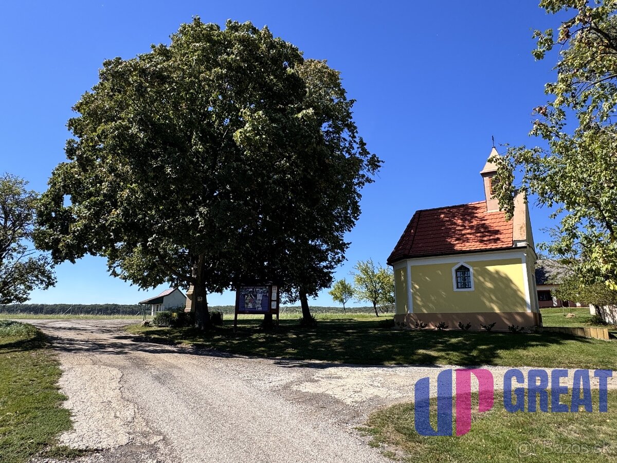 Na predaj rozostavaná chatka Skalica–Radošovské vinohrady - 9