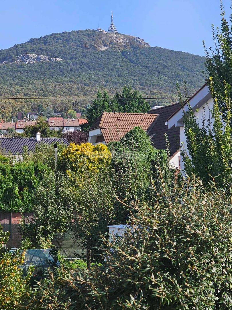 RD - ZOBOR na pozemku 575m2 - vhodný na bývanie, aj komerčn - 9