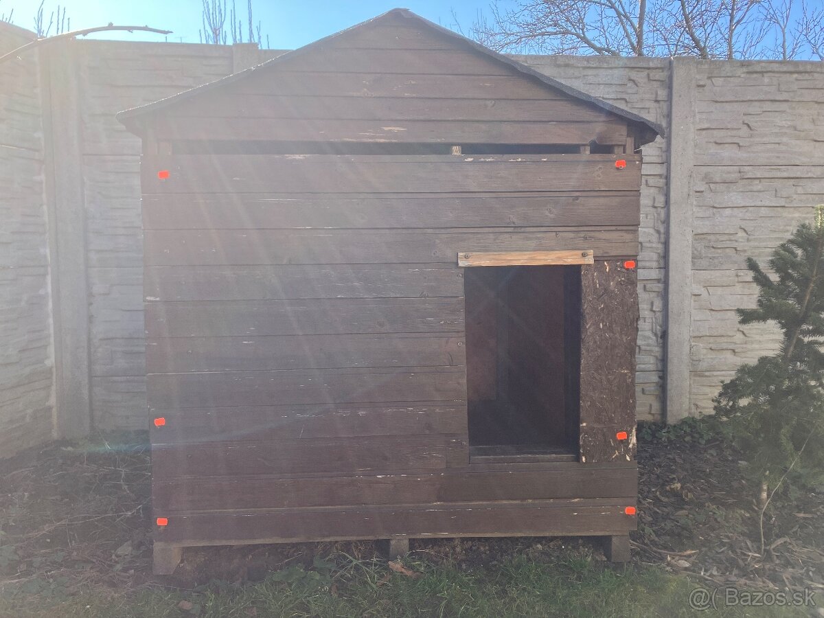 Búda pre psa - 9