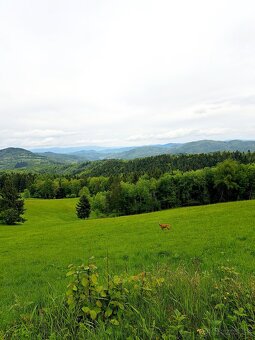 Predám majer - 9