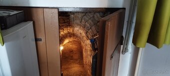 Predám chatku v blízkosti mesta Štúrovo - 9