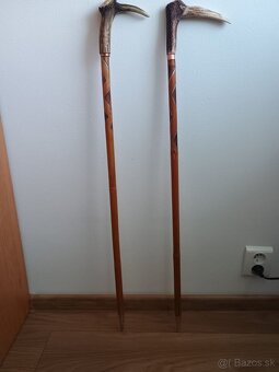 Vyrezávané vychádzkové palice - 9