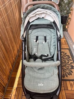 Joie mytrax flex laurel - 9