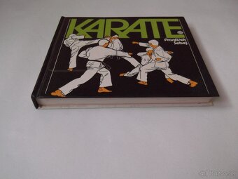 František Šebej-Karate - 9