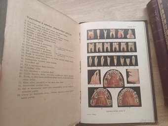 Jenny Springerová: Domáci lekárka I.,II., 1925 + rozkladacie - 9