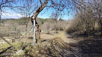Kosenie a úprava záhrad - 9