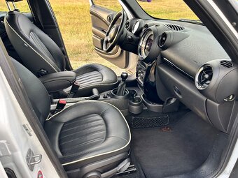 Mini SD Countryman 2.0d - 9