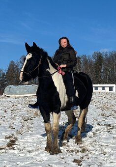 Kobylka do Rodiny hledá super Parťáka - 9