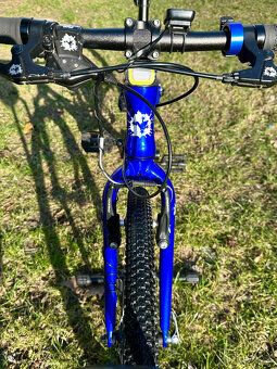 Frog 62 Electric Blue - 9