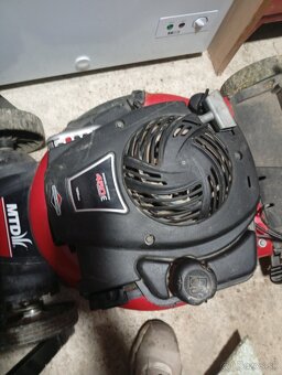 Briggs & Stratton - 9