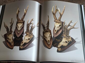 Predám knihu Great Bucks Club 200 - 9