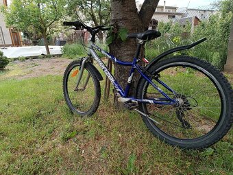 Bike Kenzel - 9