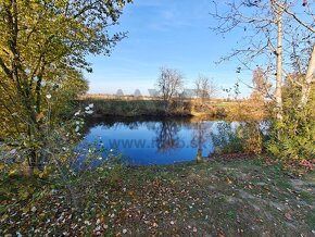 13 ÁROVÝ POZEMOK PRI KOMÁRNE S VÝHĽADOM NA JAZIERKO - 9