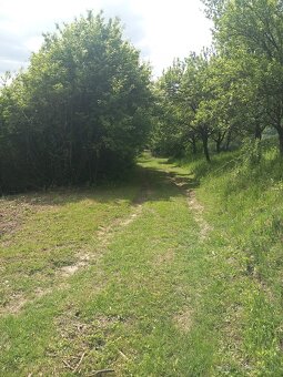 Predám pozemok 2214m2 KU Udiča - 9