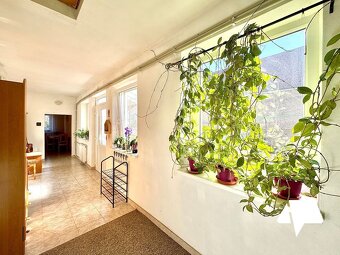 Na predaj rodinný dom v obci Kolíňany - 9