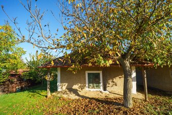 Rekreačný domček s vinicou vo Vrábľoch na predaj - 9