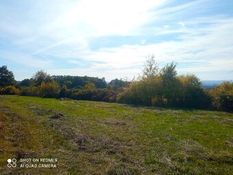 Orná pôda 2390 m2 Krupina Zalaz Horné Kopanice - 9