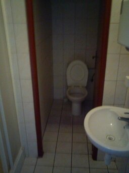 NA PRENÁJOM DOM NA PODNIKATEĽSKÉ ÚČELY Nitra - 9