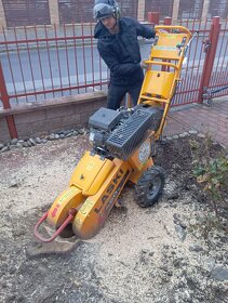 Výrub stromov, pílenie stromov, orez stromov, arboristika - 9