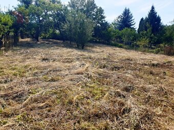 Na predaj investičný pozemok "záhrada" o výmere 691 m2  - 9