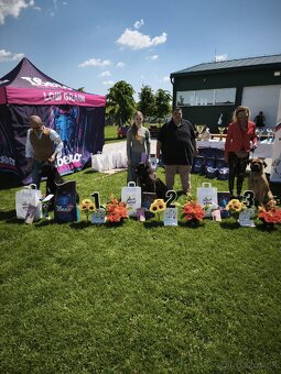 Dynasty Warriors - 9