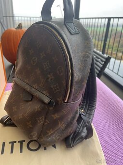 Louis Vuitton Palm Springs PM Backpack - 9