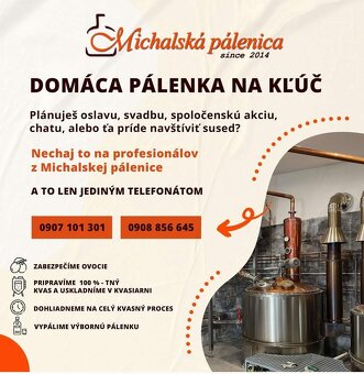 Predám slivky na kvas Stanley cukornatosť 24 brix - 9